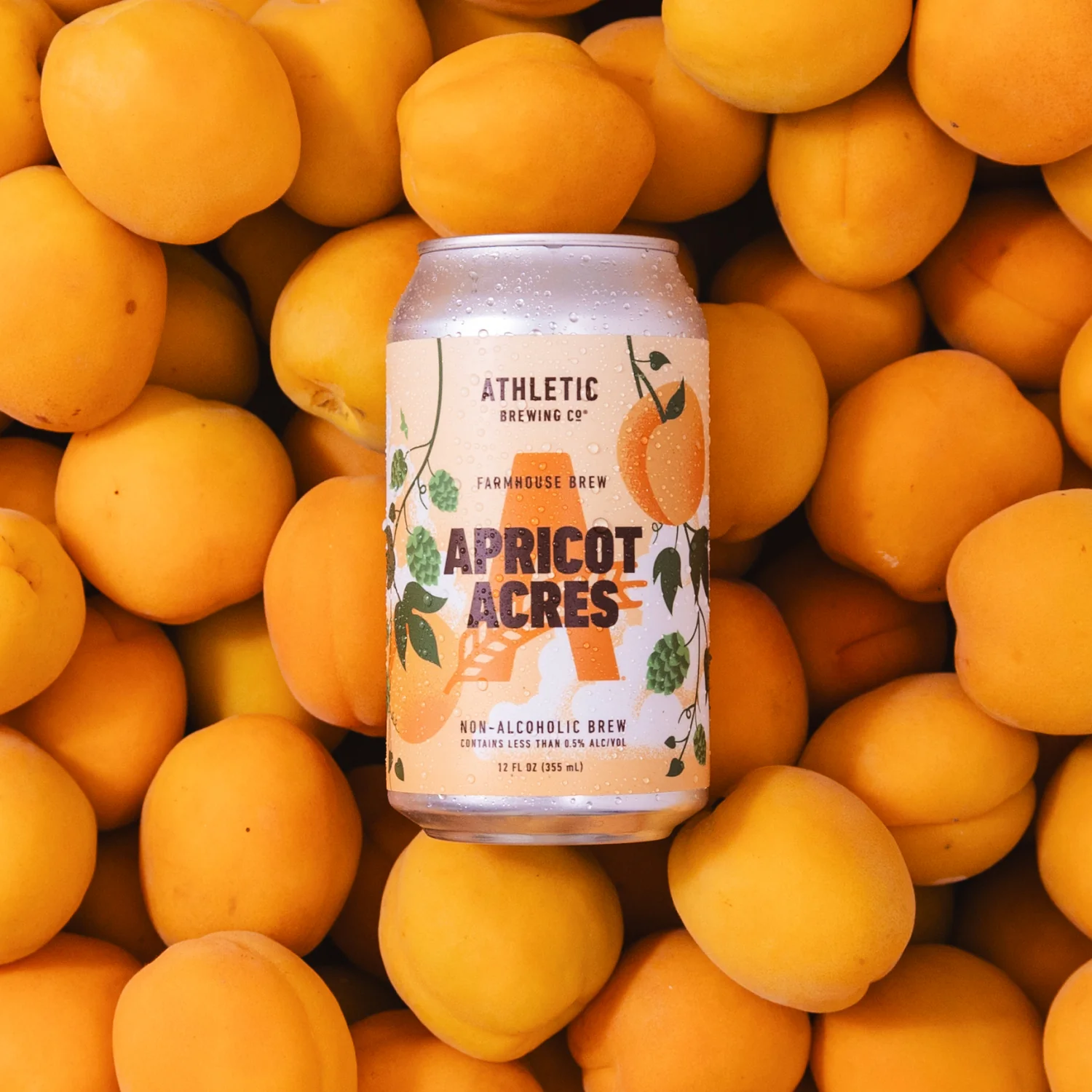Apricot Acres - Image 3