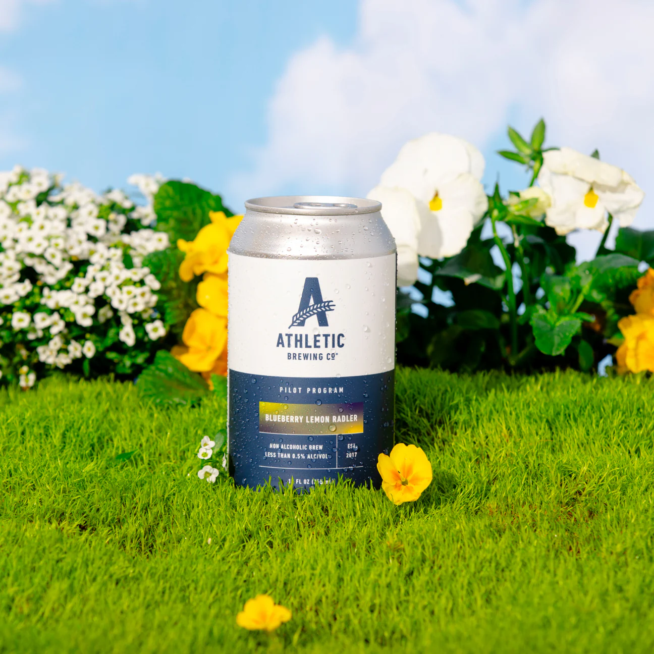 Blueberry Lemon Radler - Image 3